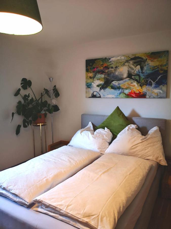 Appartement Kirchleiten Henndorf am Wallersee Dış mekan fotoğraf