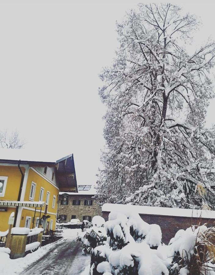 Appartement Kirchleiten Henndorf am Wallersee Dış mekan fotoğraf